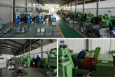 Shaanxi Flourish Industrial Co., Ltd. 製造者の生産ライン