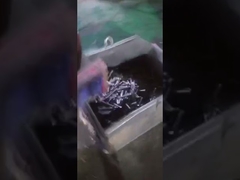 Carbon Steel Cheese Head Arc Stud Welding With Ceramic Ring