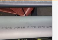 継ぎ目が無いSCH10 ASTM A790 12mの複式アパートのステンレス鋼の管